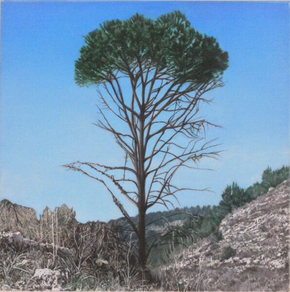 שלומי חגי שמן על בד 40 -40 סמ Tree no 3 2011